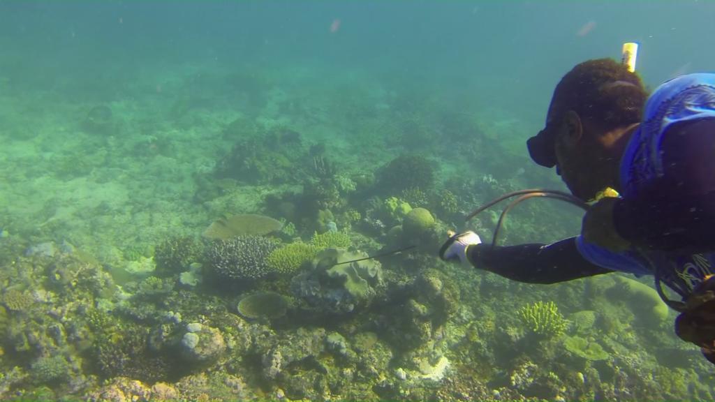 Yasawa Homestays Naisisili Exteriér fotografie
